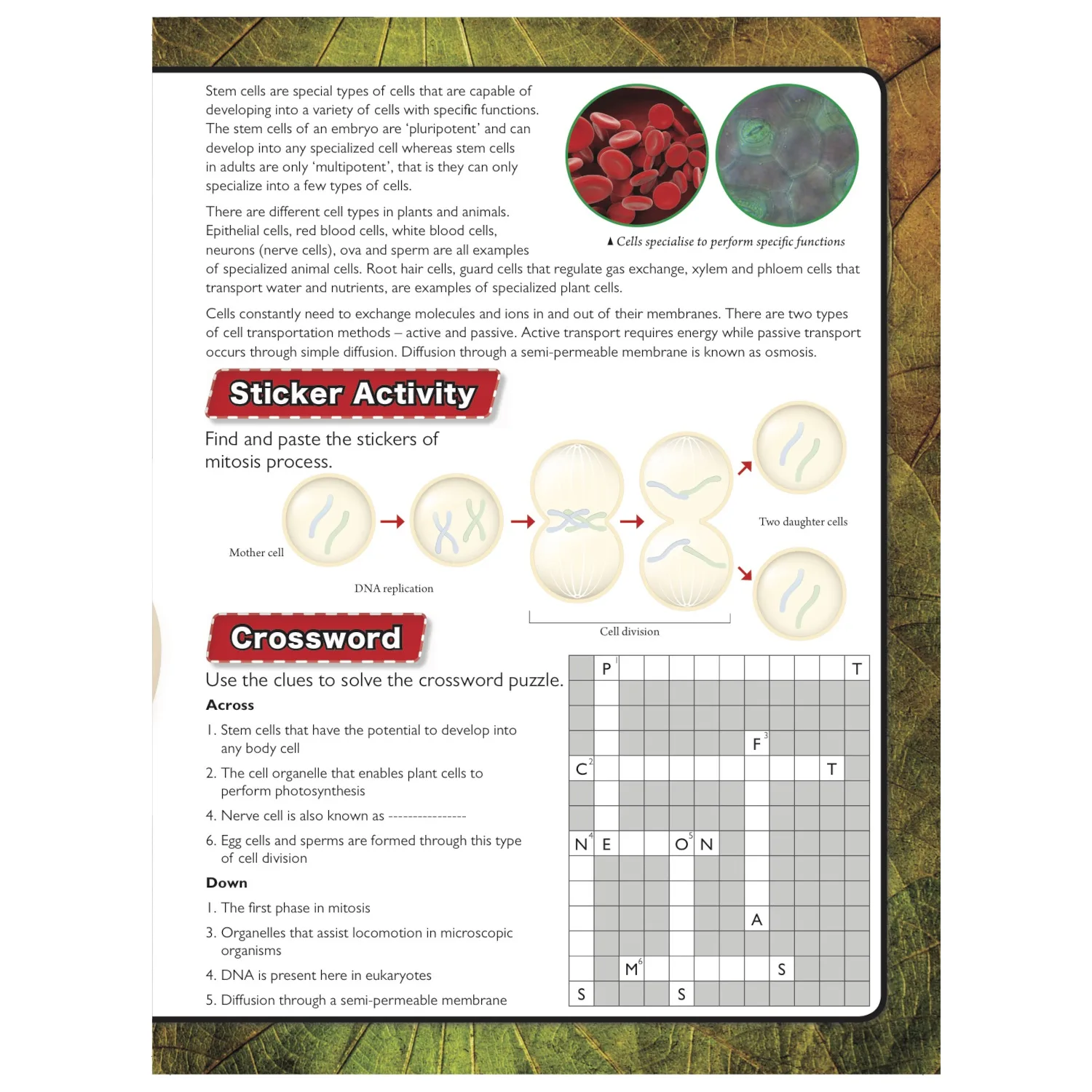 Discover Biology Sticker Book by Wonders of Learning