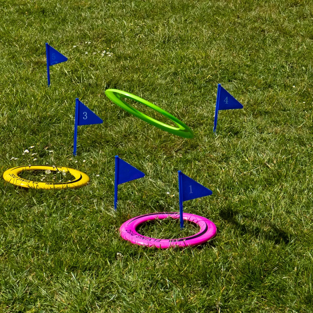 Flying Disc Golf by Flamingo Games